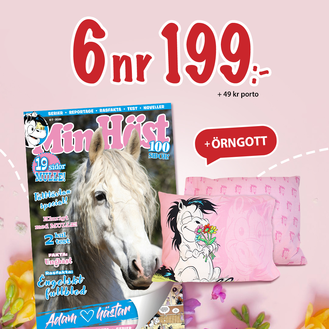 6 nummer av tidningen Min Häst + örngott med Mulle-motiv 199 kr + 49 kr porto